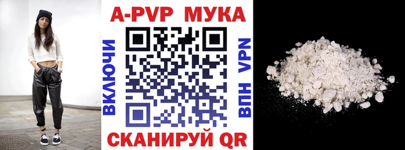 A PVP СК КРИС  Мезень 