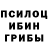Галлюциногенные грибы прущие грибы Elizabeth star