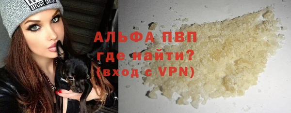 стаф Богородицк