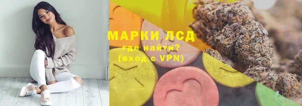 стаф Богородицк