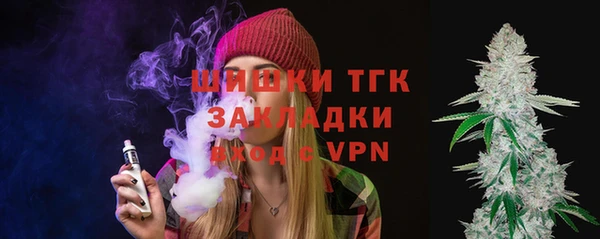 стаф Богородицк