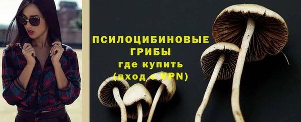 дживик Богданович