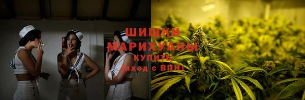 стаф Богородицк