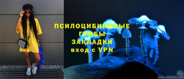 дживик Богданович