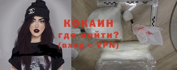 дживик Богданович