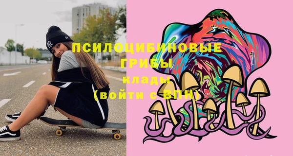 дживик Богданович
