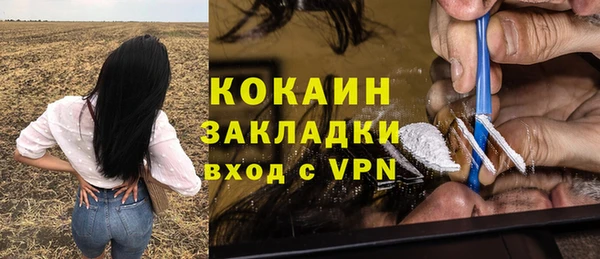 стаф Богородицк