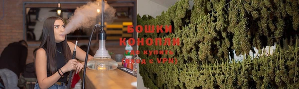 дживик Богданович